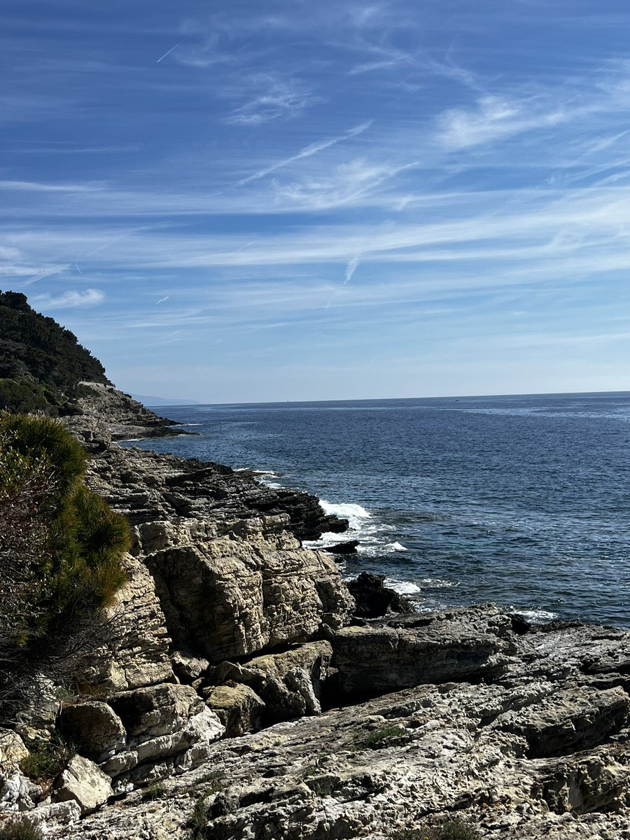 Yannick Ferrand 🍀 tweet media