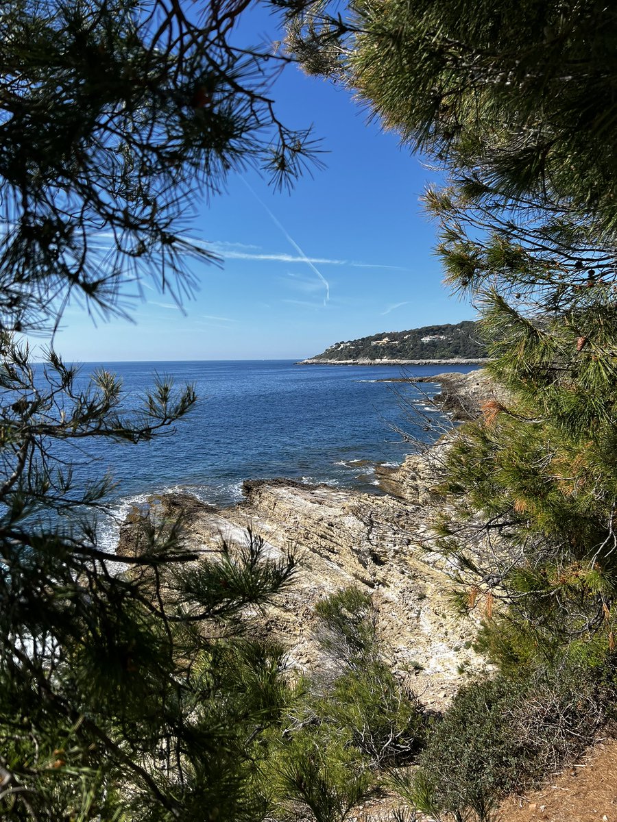 Yannick Ferrand 🍀 tweet media