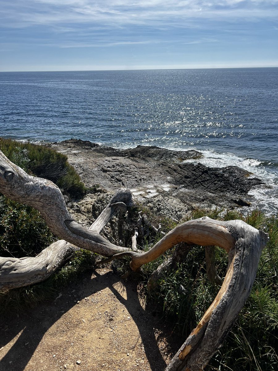 Yannick Ferrand 🍀 tweet media