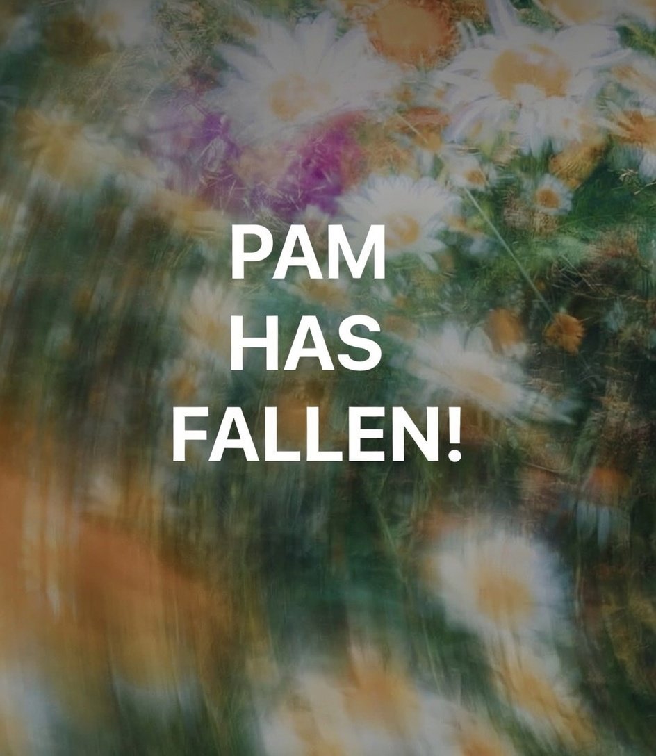 Muh Proxy tweet media