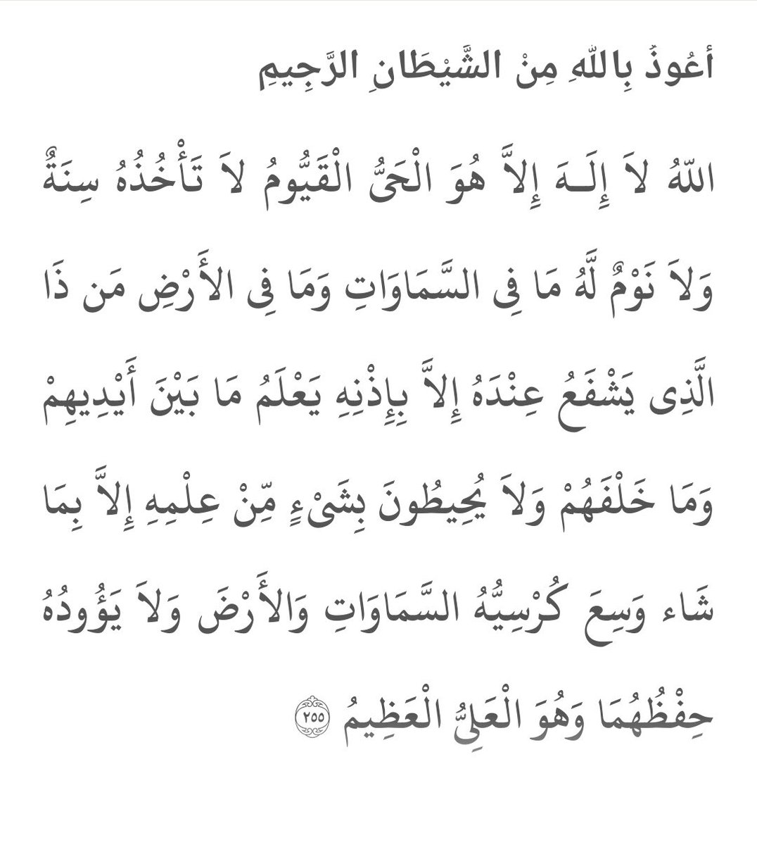 um__muath1's tweet photo. https://t.co/T6QVxk2yar