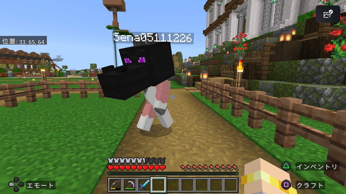 ちぃ🐱Sena🐱 tweet media