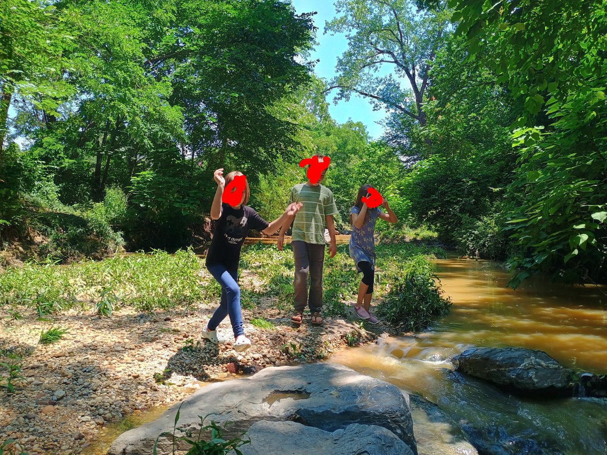 Lisa Mueller  tweet media