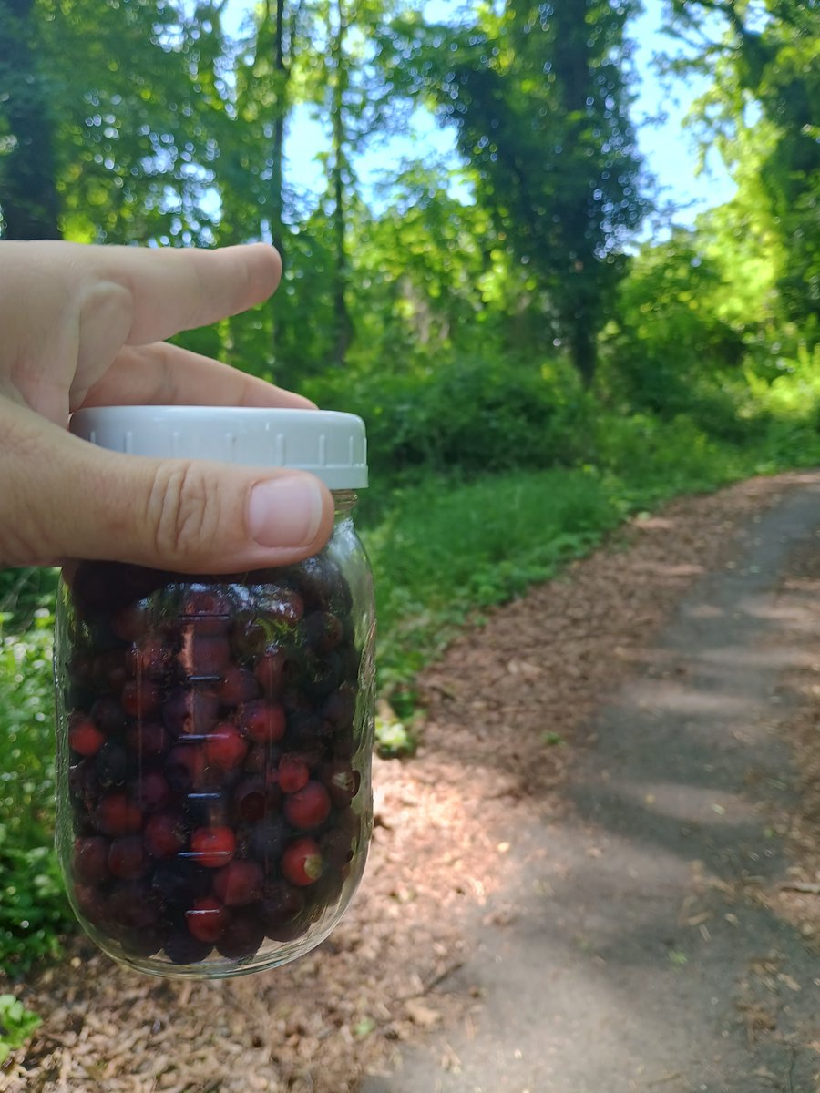 Lisa Mueller  tweet media