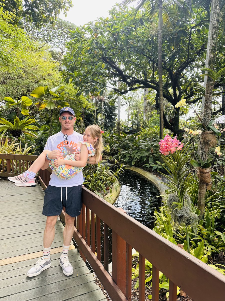 Shea-Z 🐳💹🧲 tweet media