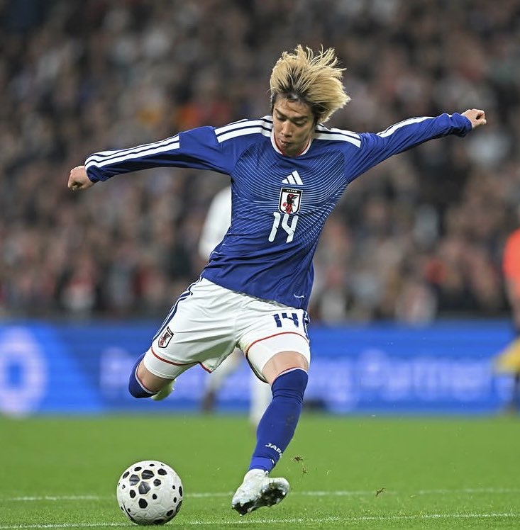 しらたまん tweet media