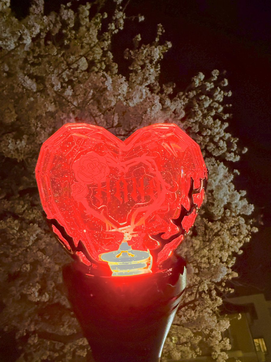 湘南のぽめまる🐾足跡には花束🐾🌸 tweet media