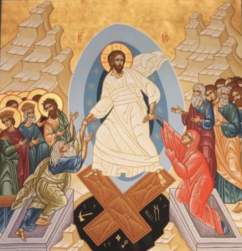 Cedars and Saints🇻🇦 tweet media