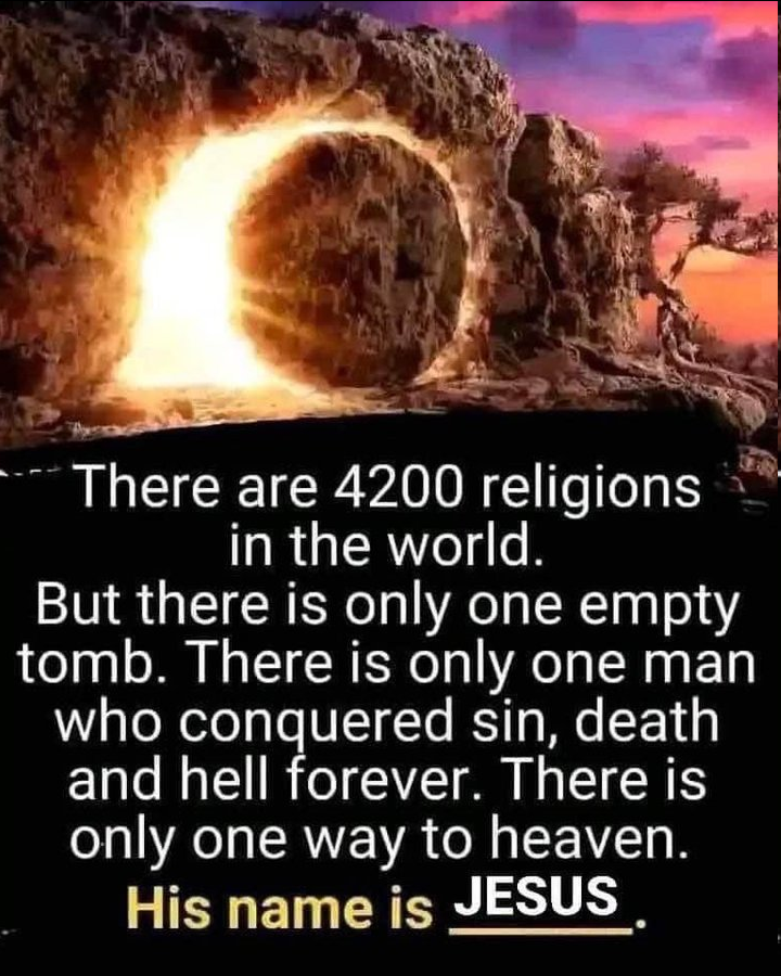 Jan Markell tweet media