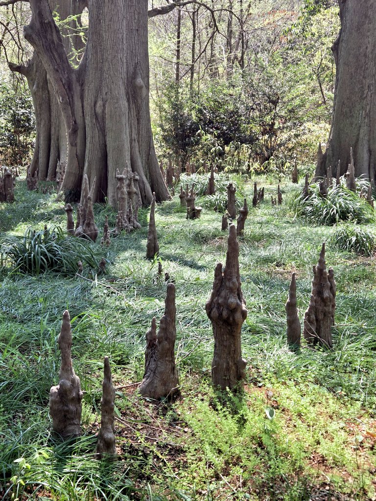 うちゃか tweet media