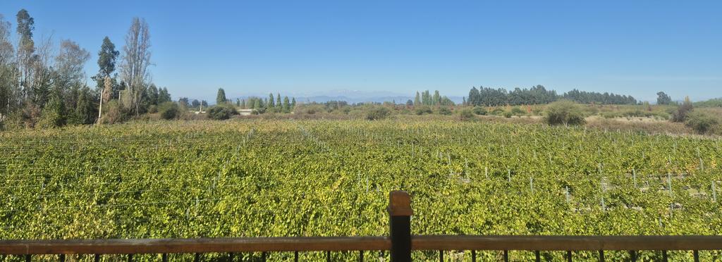 פלג לוי - Peleg Lewi 🌿 tweet media