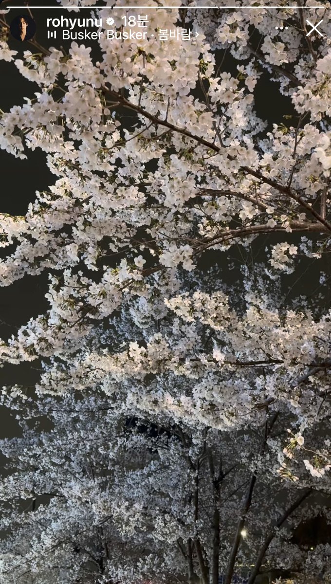 ❀간절기✿ tweet media