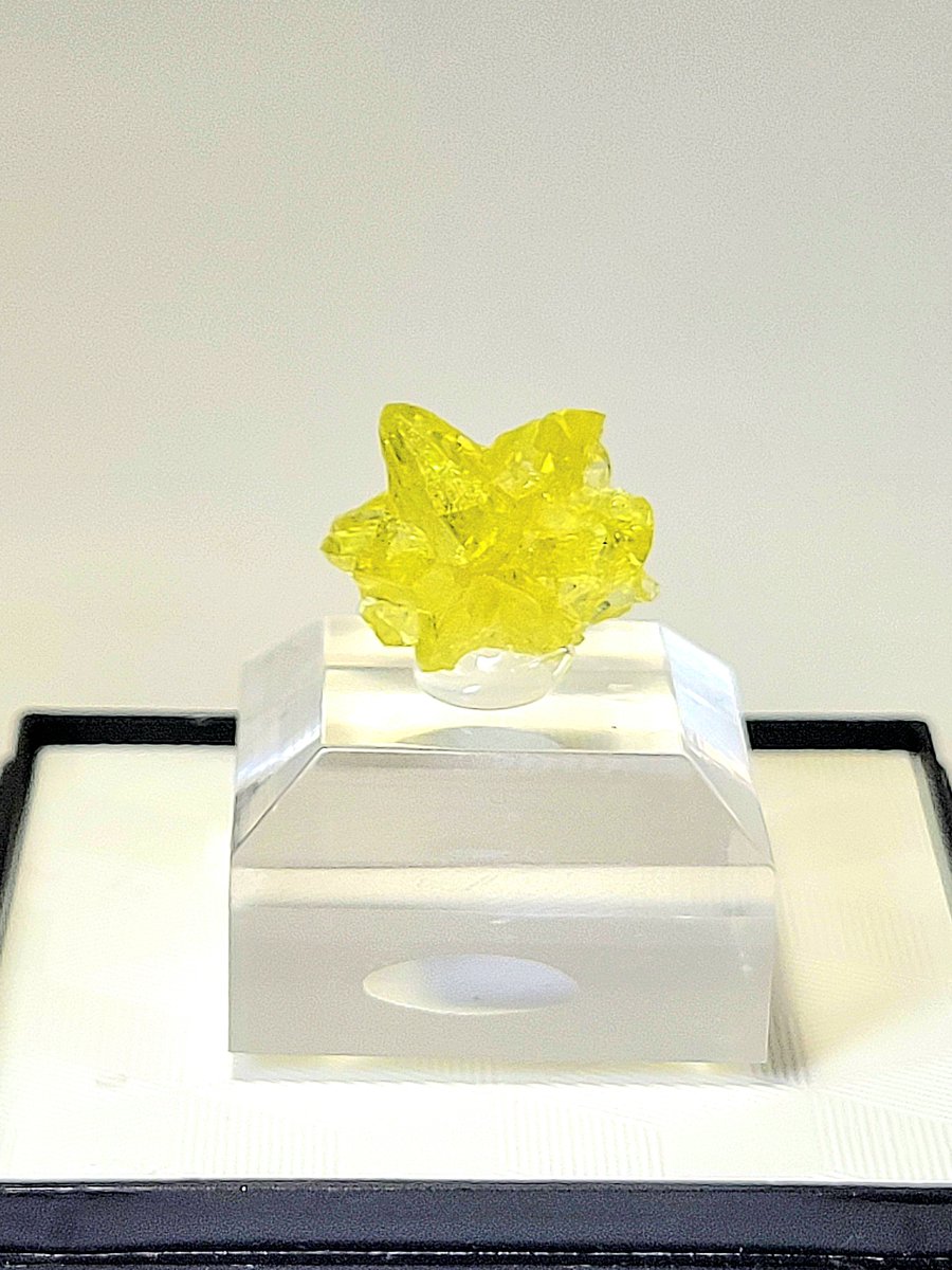 くるクル tweet media