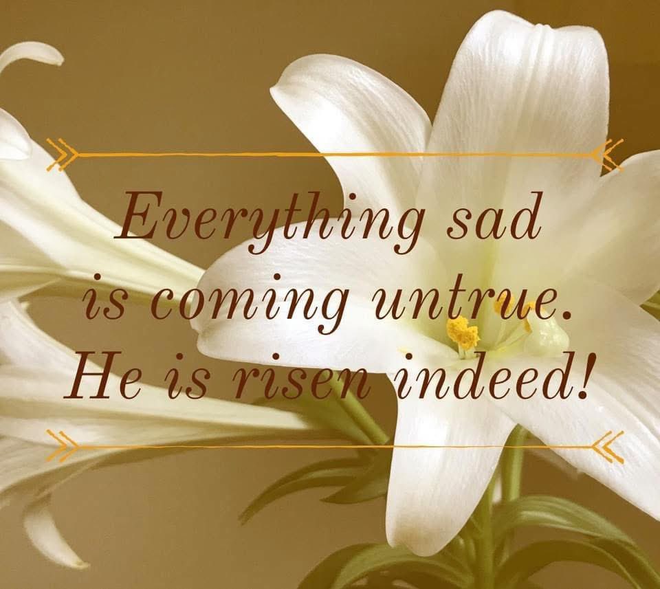 Nancy Franson tweet media