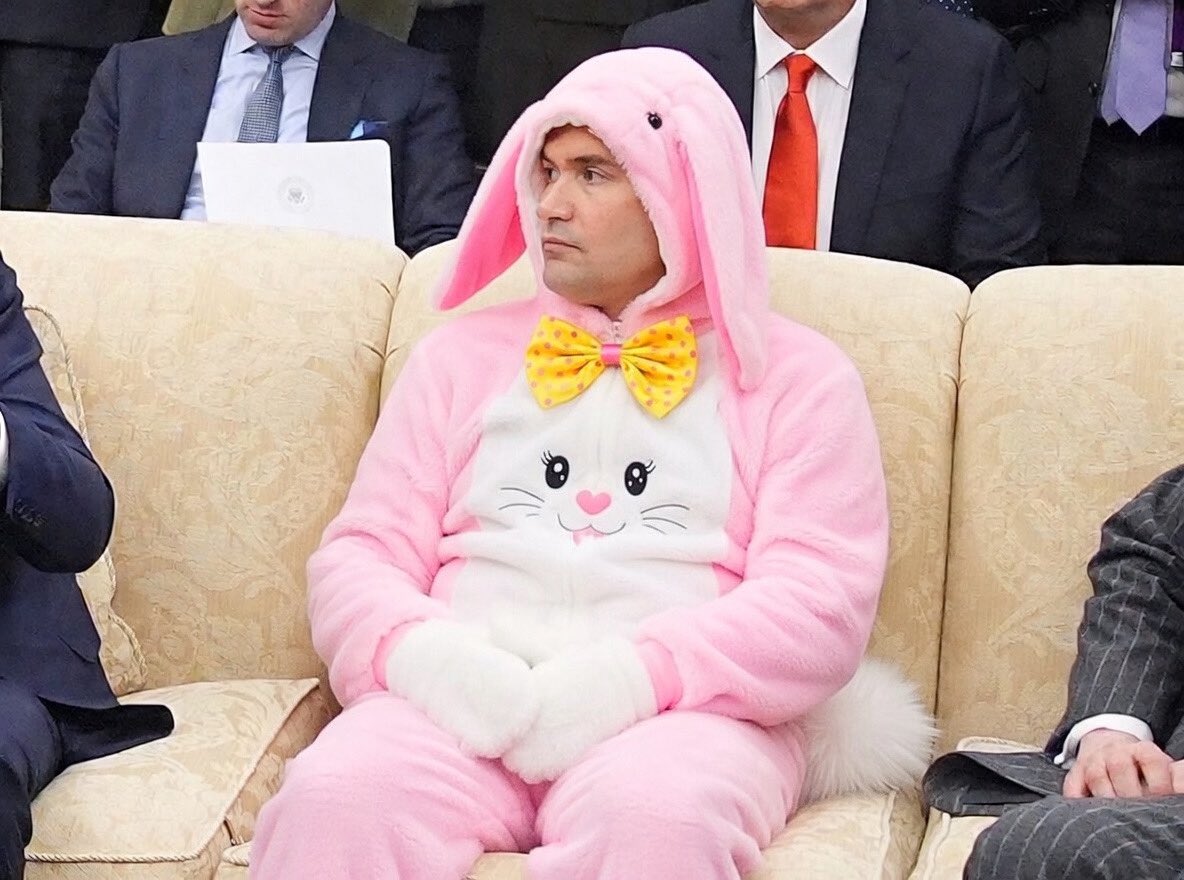 Missy in So Cal 𝄞𝄢 🇺🇸 tweet media