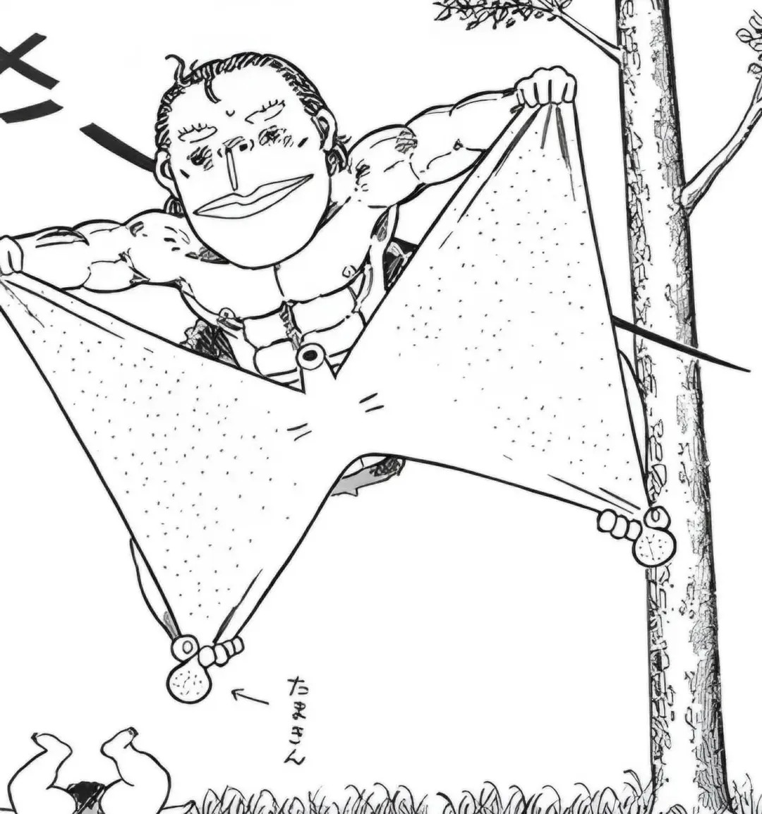 Curious K tweet media