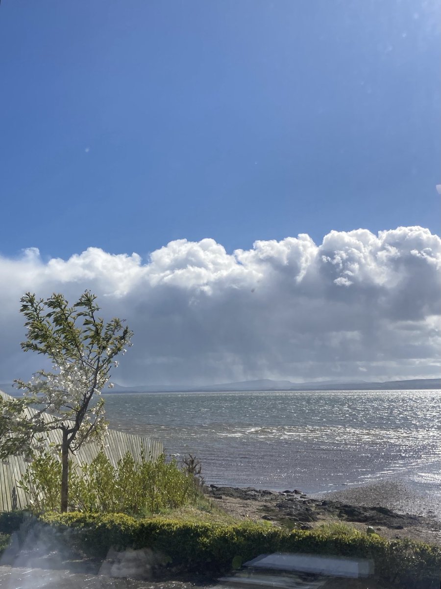 Twig & Heather tweet media