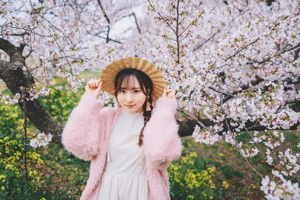 じょーじ｜写真を撮る人 tweet media