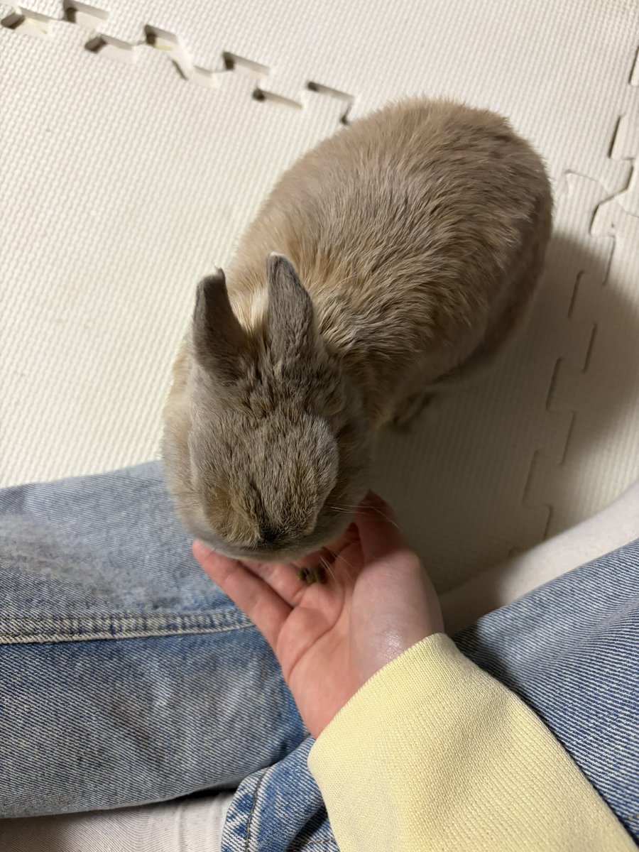 ぶんた tweet media