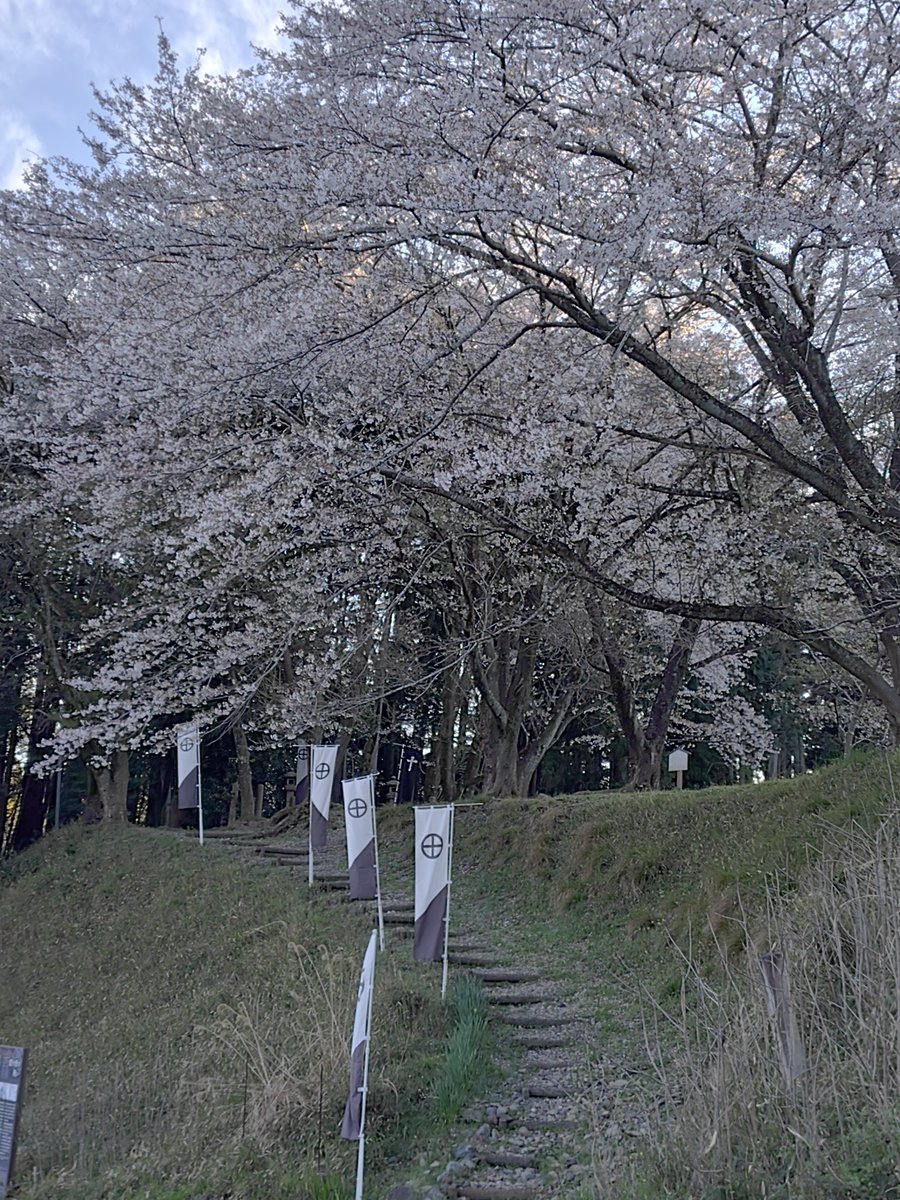 『不破ふわ塾』関ヶ原歴民学習館サポータ tweet media