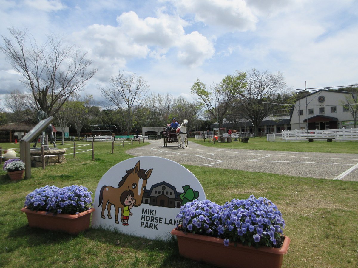 三木ホースランドパーク tweet media