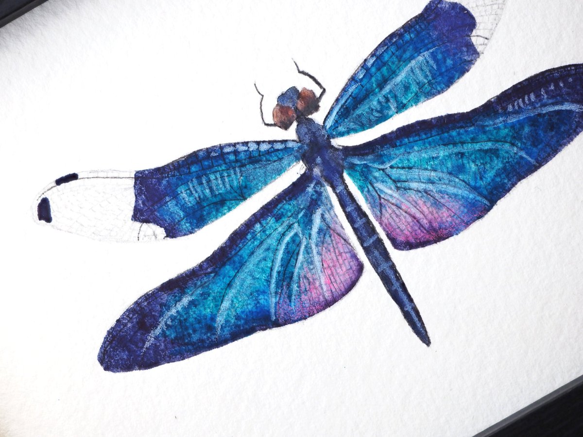 ツカナ制作所 Tukana Craftworks tweet media