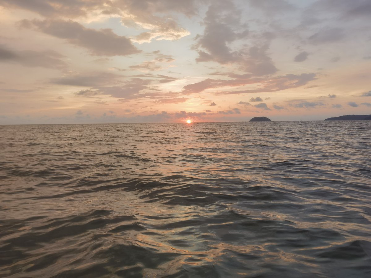 稳定岛 tweet media