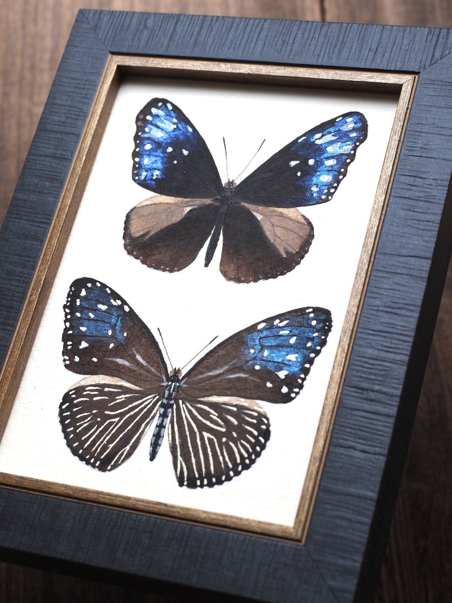 ツカナ制作所 Tukana Craftworks tweet media