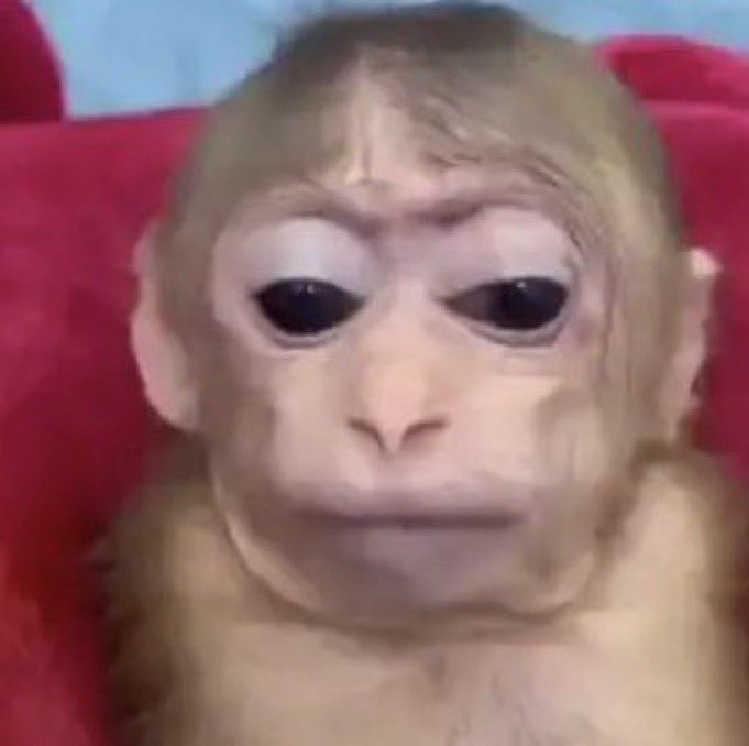 israzinho tweet media