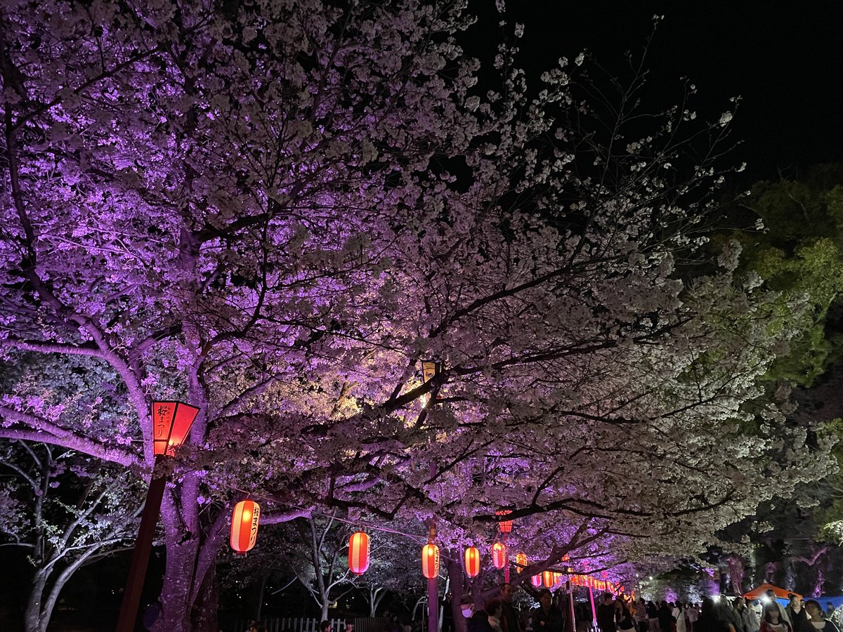 つばさん｜ブランディング伴走支援×「食」を愛するデザイナー tweet media