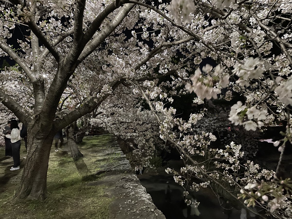 つばさん｜ブランディング伴走支援×「食」を愛するデザイナー tweet media