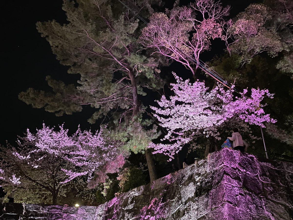 つばさん｜ブランディング伴走支援×「食」を愛するデザイナー tweet media