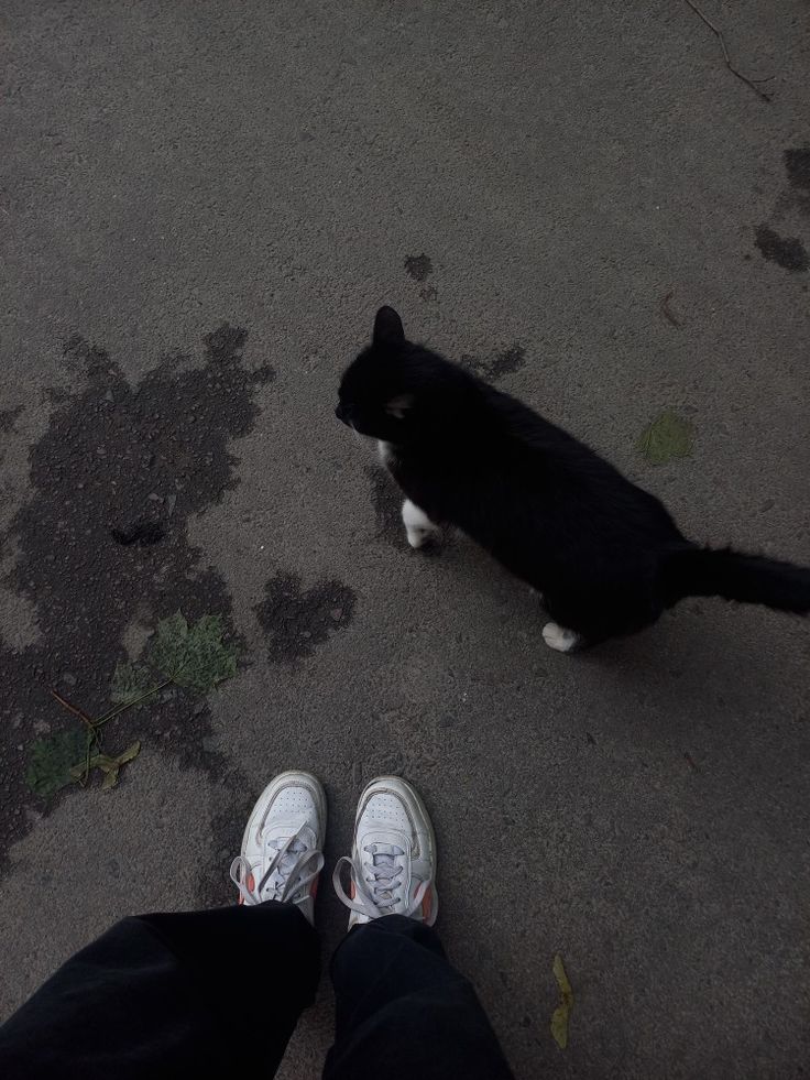 Invisible🩷 tweet media