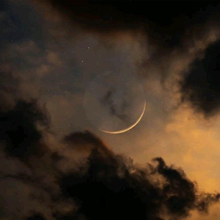 Invisible🩷 tweet media