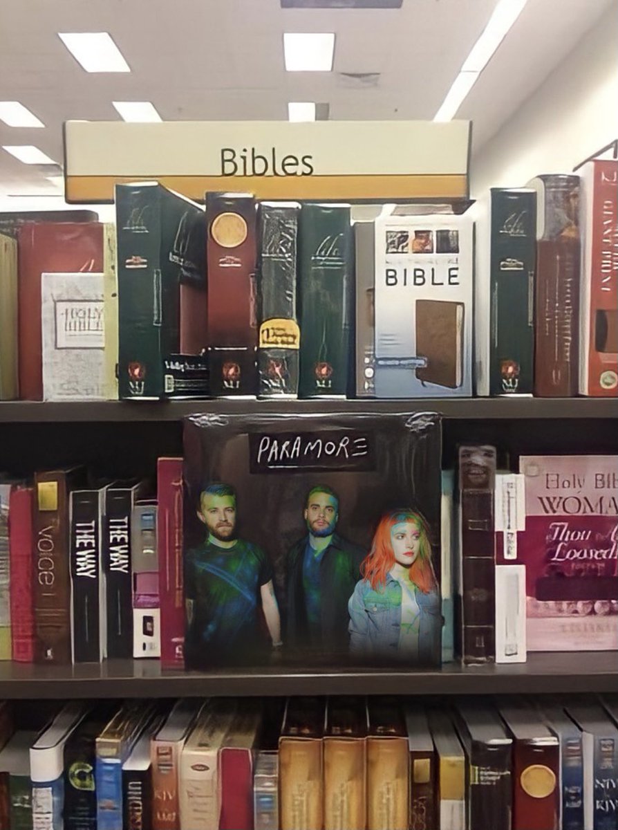 andz | survived ego death toronto tweet media