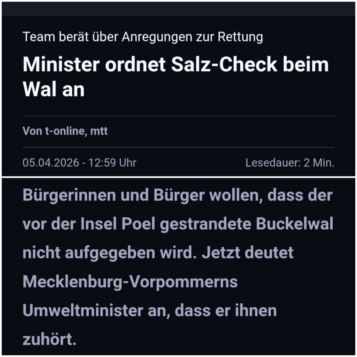 Sigrun Gwiasda tweet media