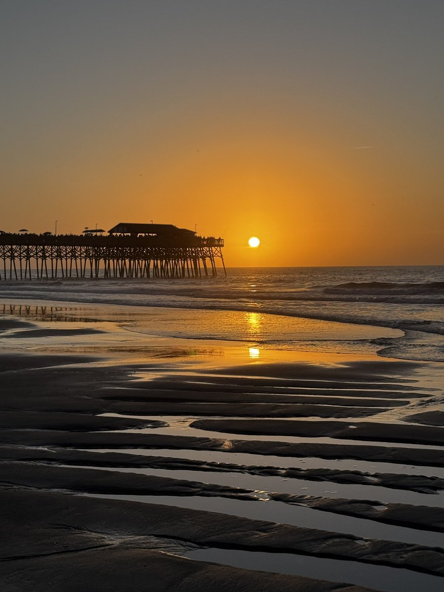 Ross 🏝 tweet media