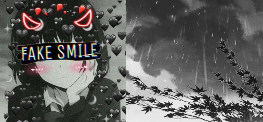 Kiru’s Pet Dog (Wynter) tweet media