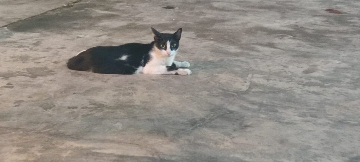 ᯓ ୨ ᴡᴏʀᴍʏ 🧇 ୧ tweet media