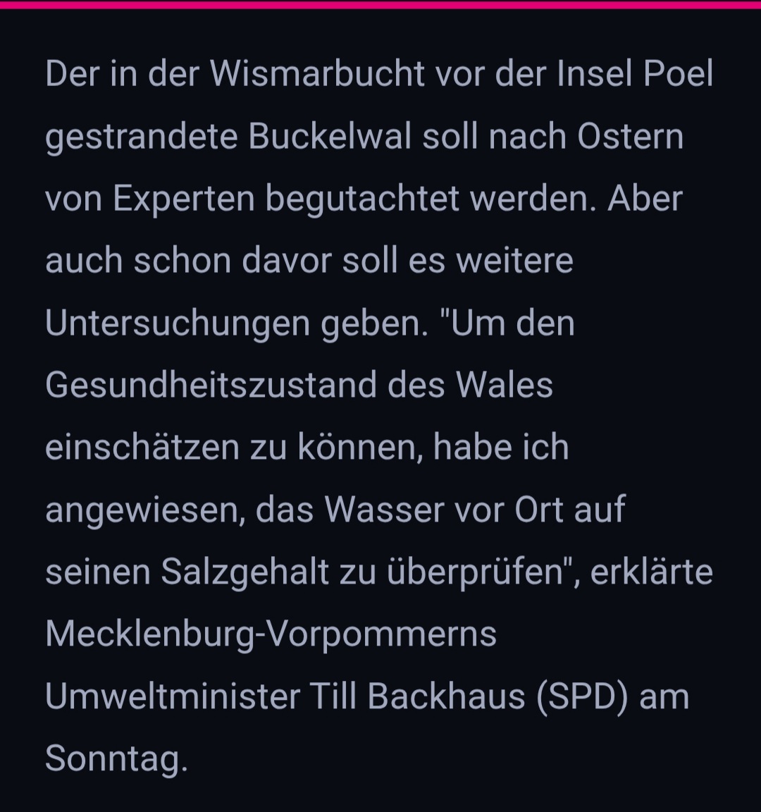 Sigrun Gwiasda tweet media