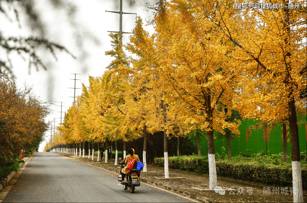 Pollinusha tweet media