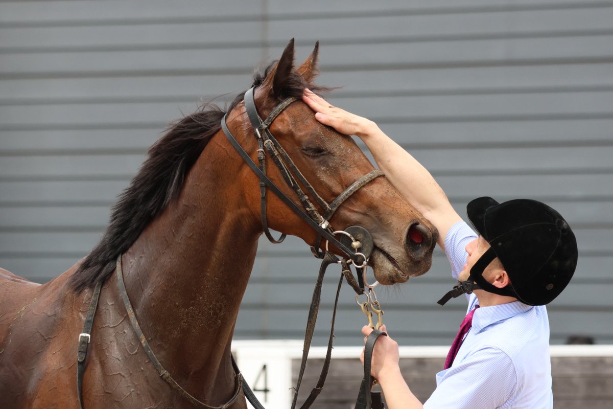 ももさん tweet media