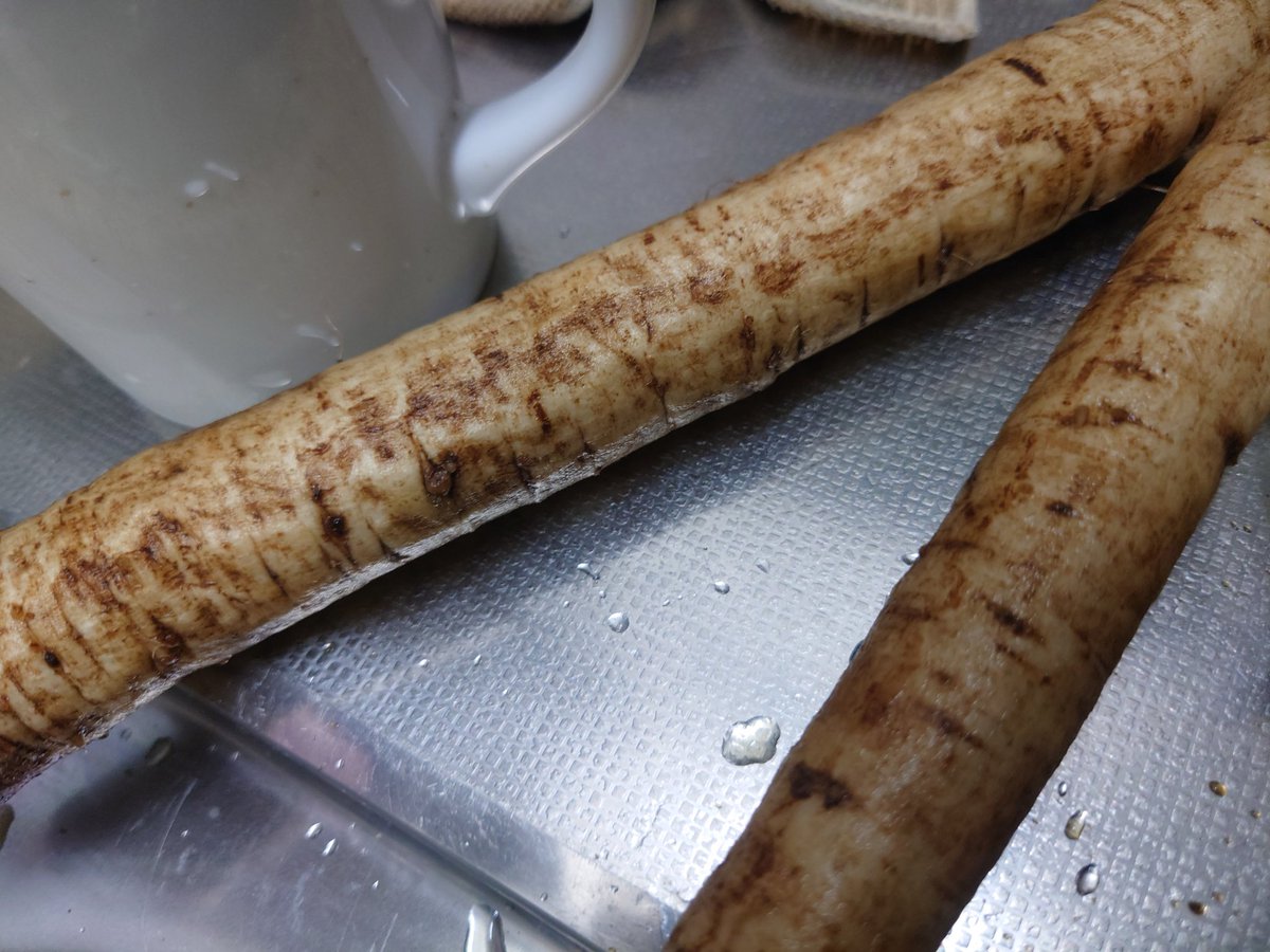 |のしの) tweet media