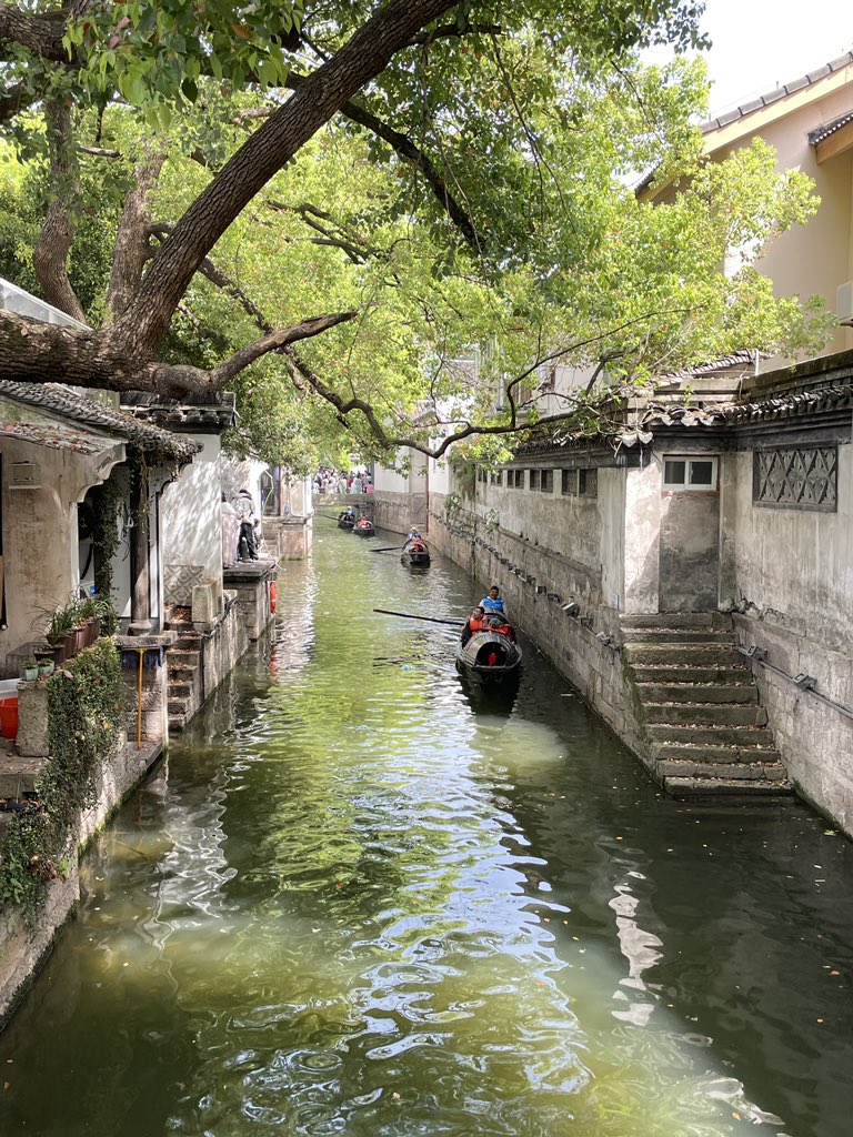 会飞的鱼 tweet media