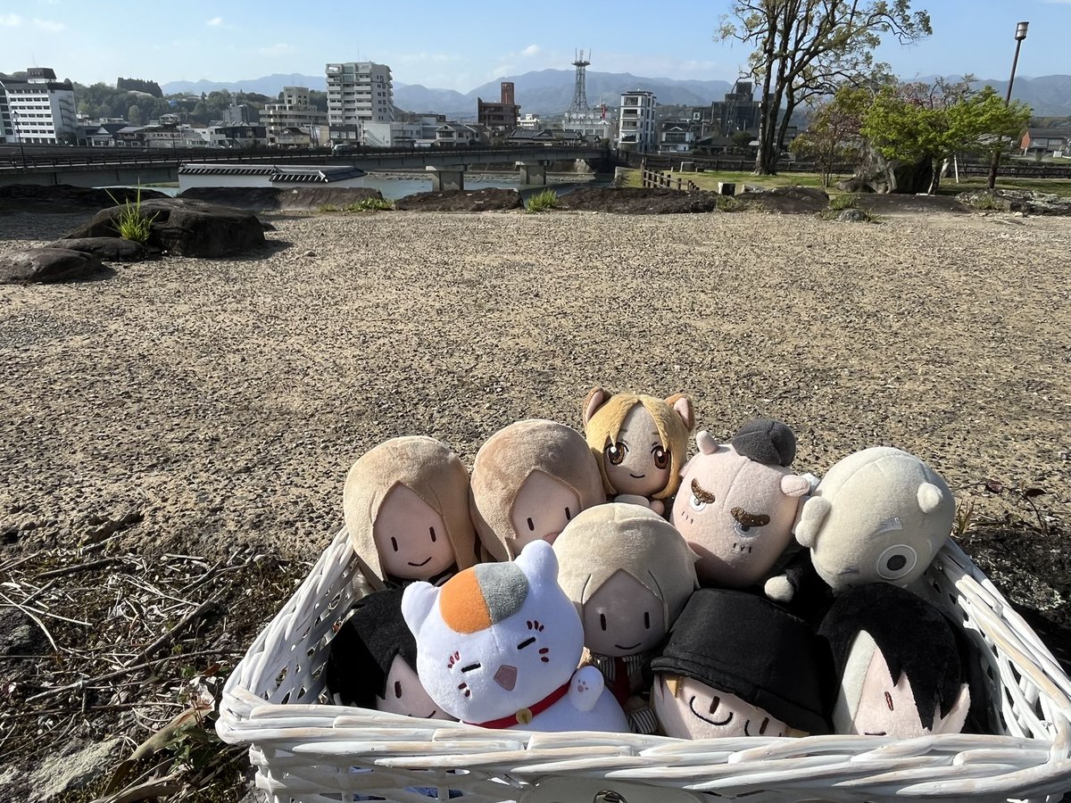 まろに🥯 tweet media