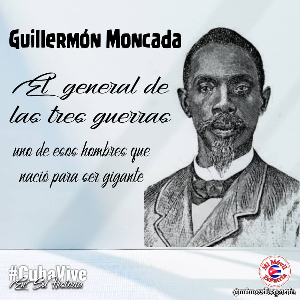 mimovilespatria tweet media