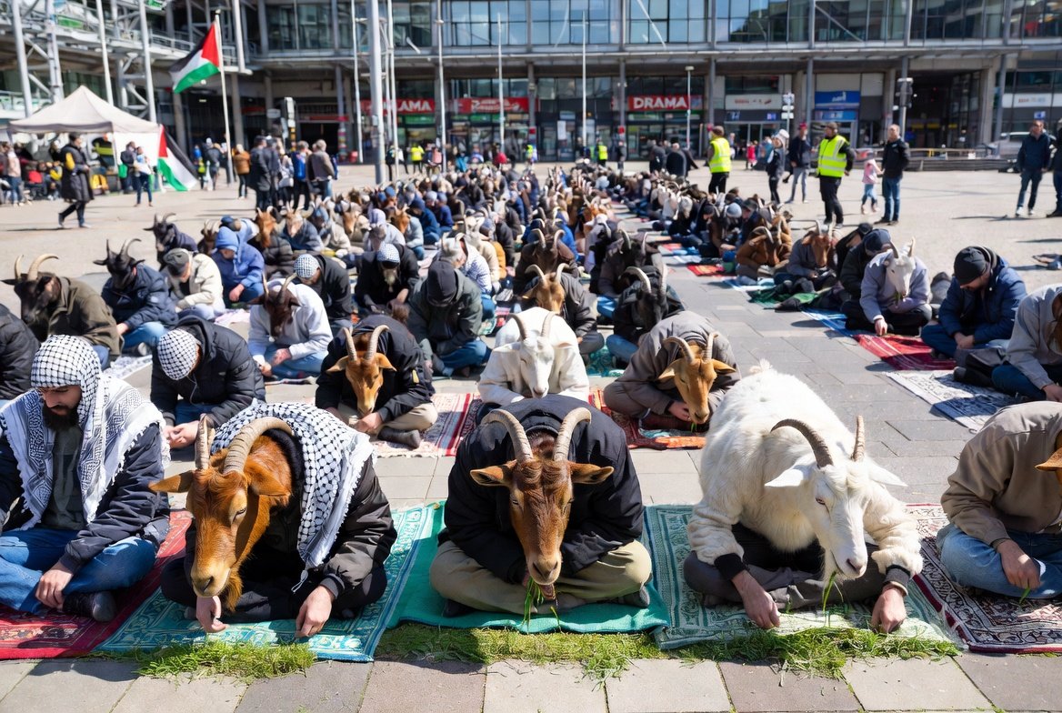 Carlos Fleischwunder tweet media