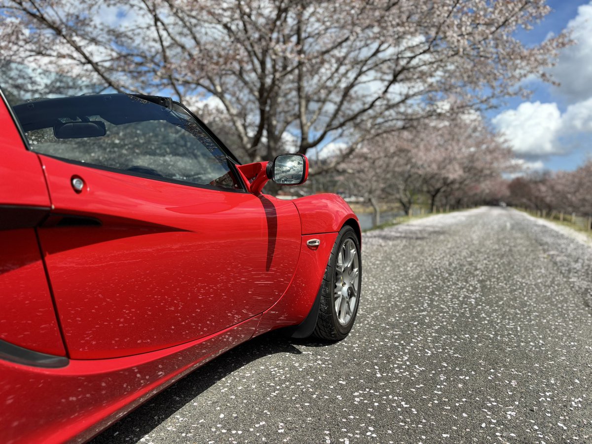 Mer_BDR's tweet photo. #桜と愛車 https://t.co/eKQcCu112h