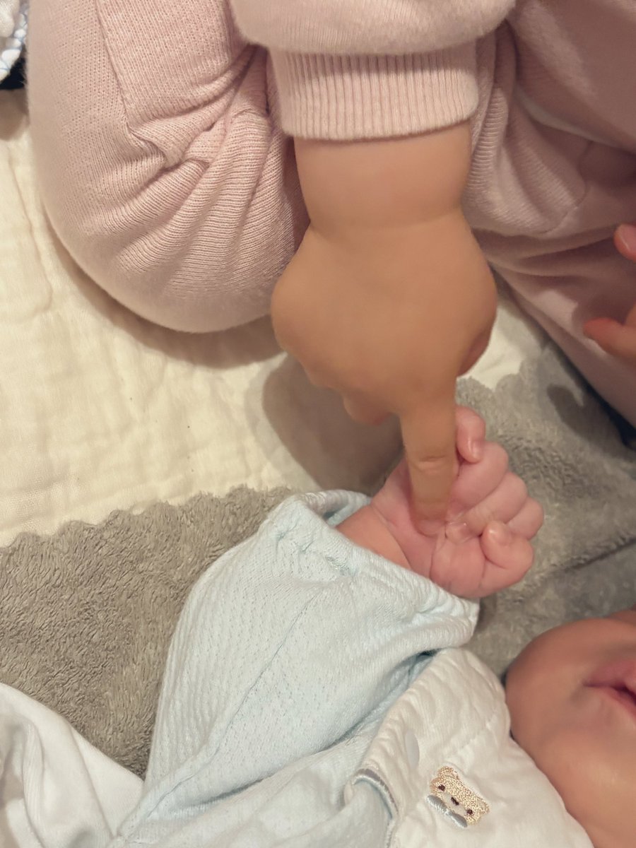 お月🌛 tweet media