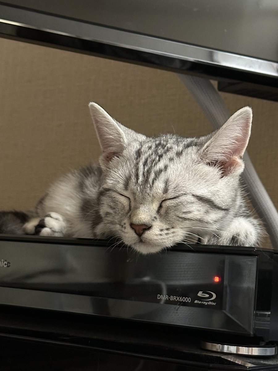 田畑由秋 Tabata Yoshiaki 타바타 요시아키 tweet media